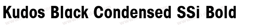 Kudos Black Condensed SSi Bold Condensed字体转换